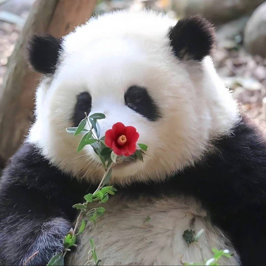 ¸λ棬ڳϺտȥ