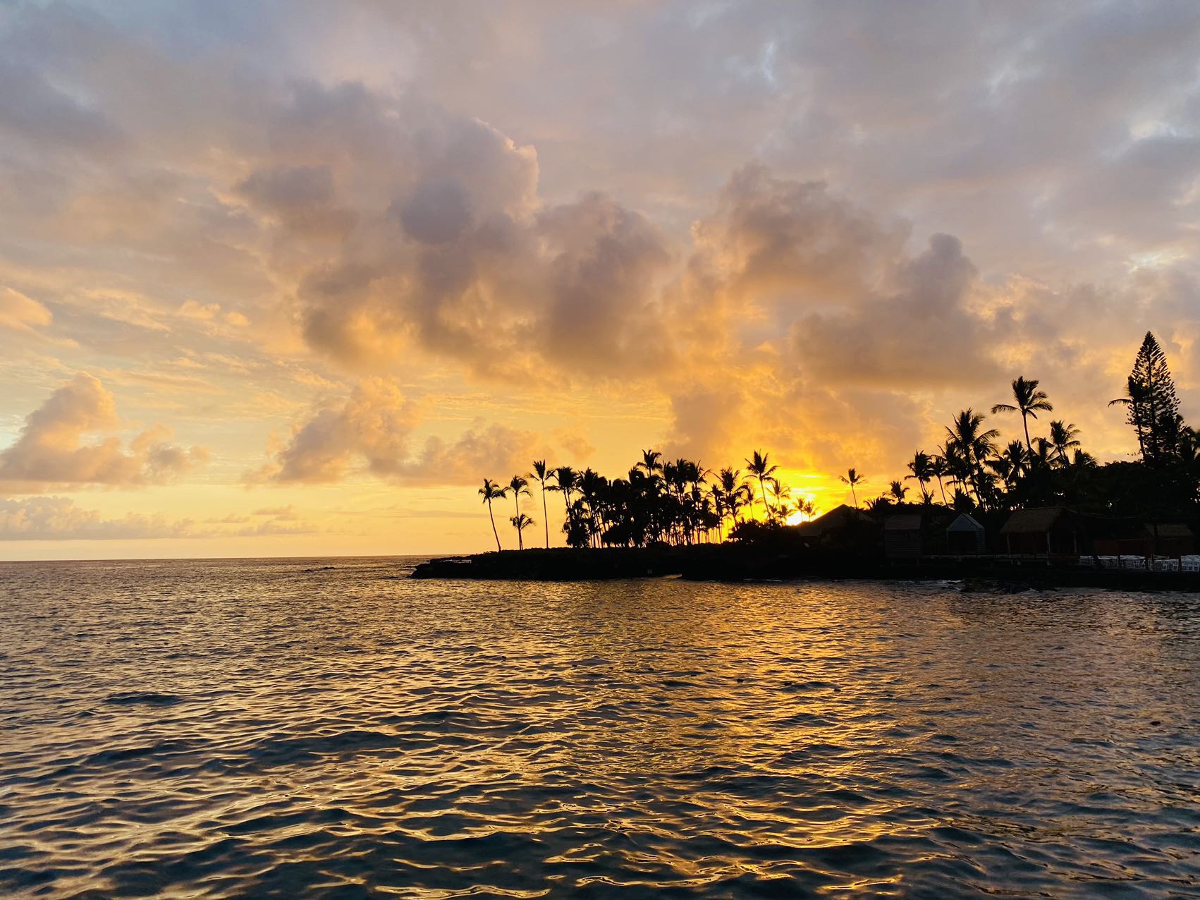 ɺ̲Ƶ- Courtyard Kona Beach Hotel