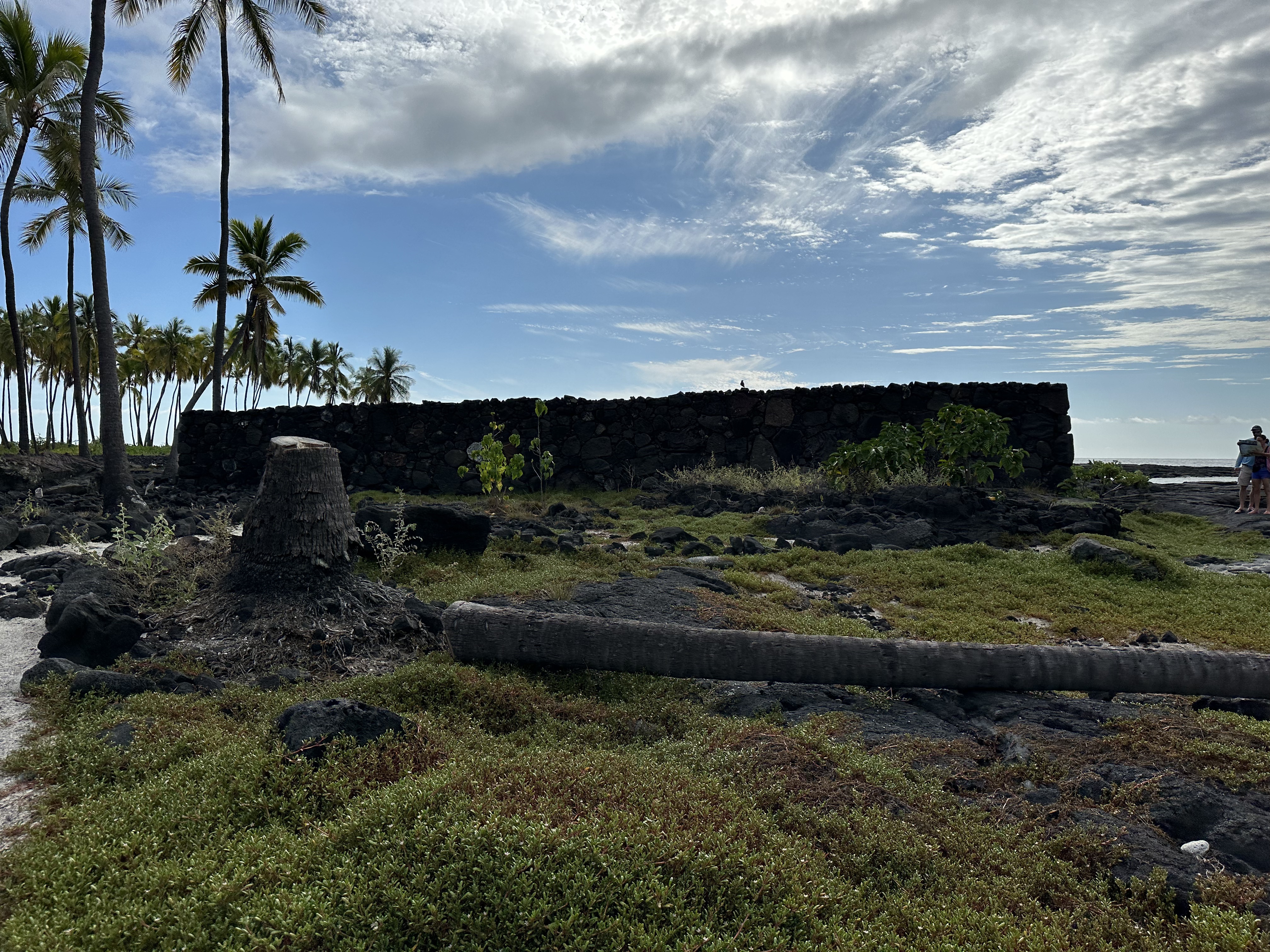 ɺ̲Ƶ- Courtyard Kona Beach Hotel