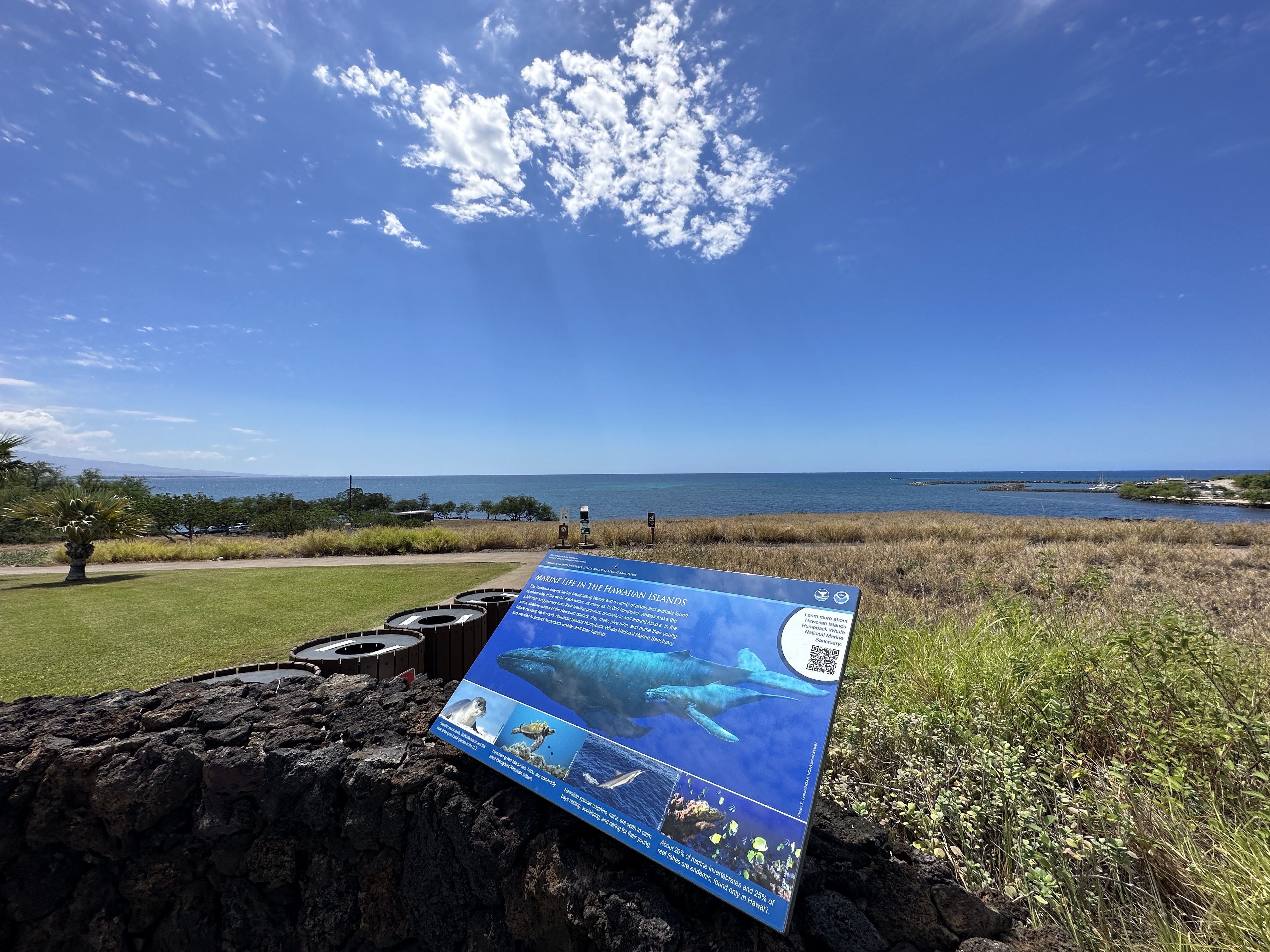 ɺ̲Ƶ- Courtyard Kona Beach Hotel