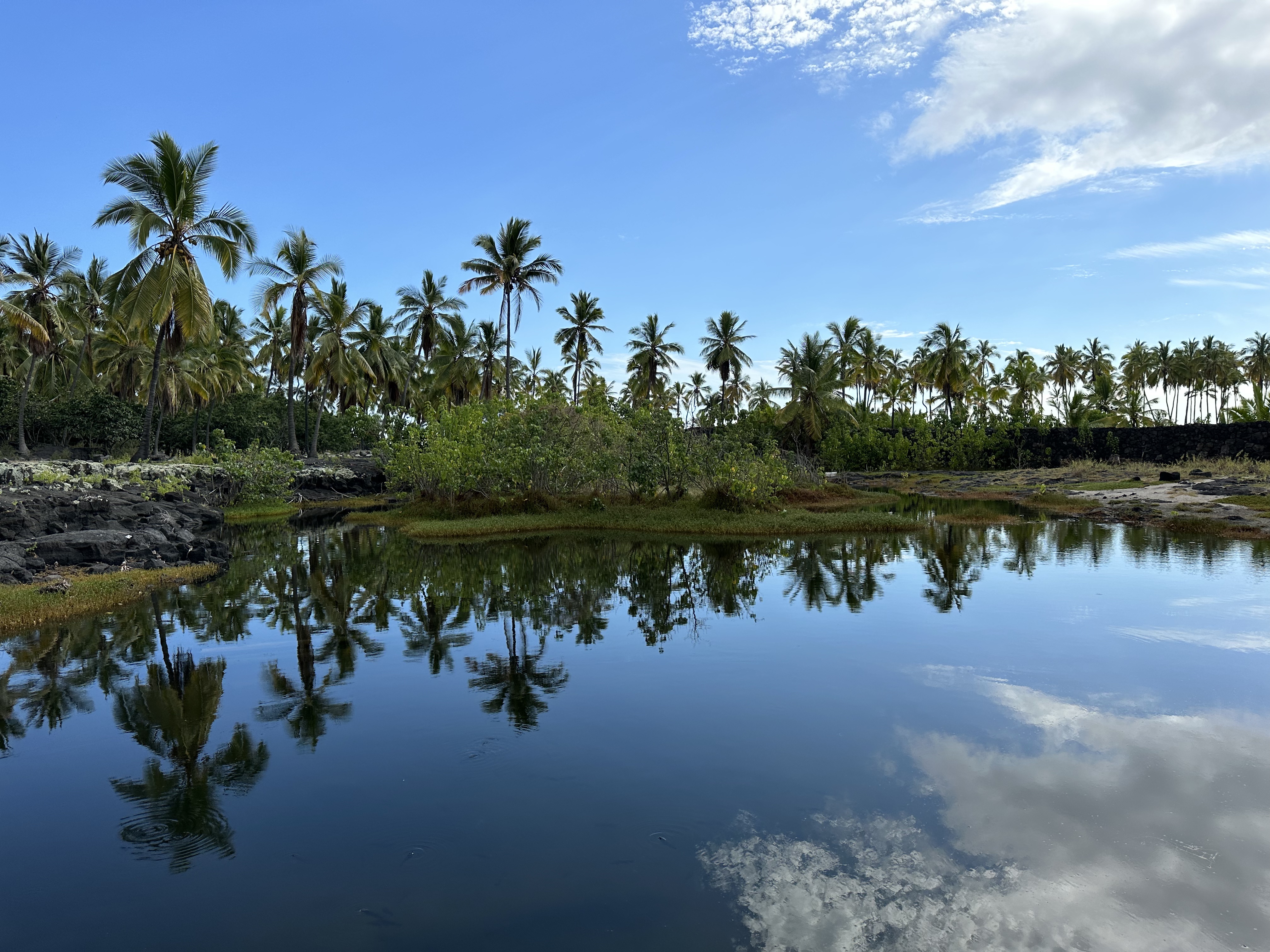 ɺ̲Ƶ- Courtyard Kona Beach Hotel