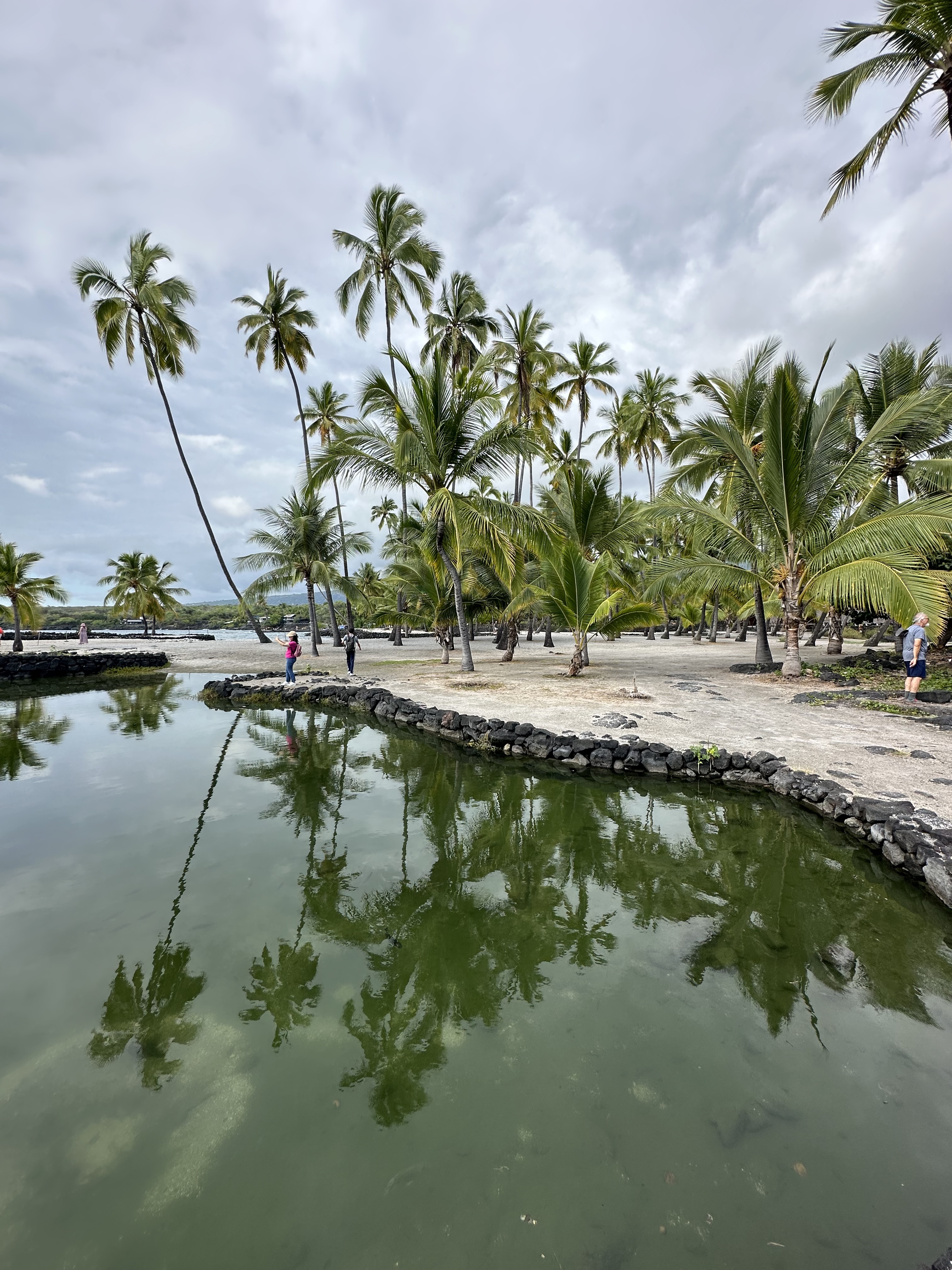 ɺ̲Ƶ- Courtyard Kona Beach Hotel