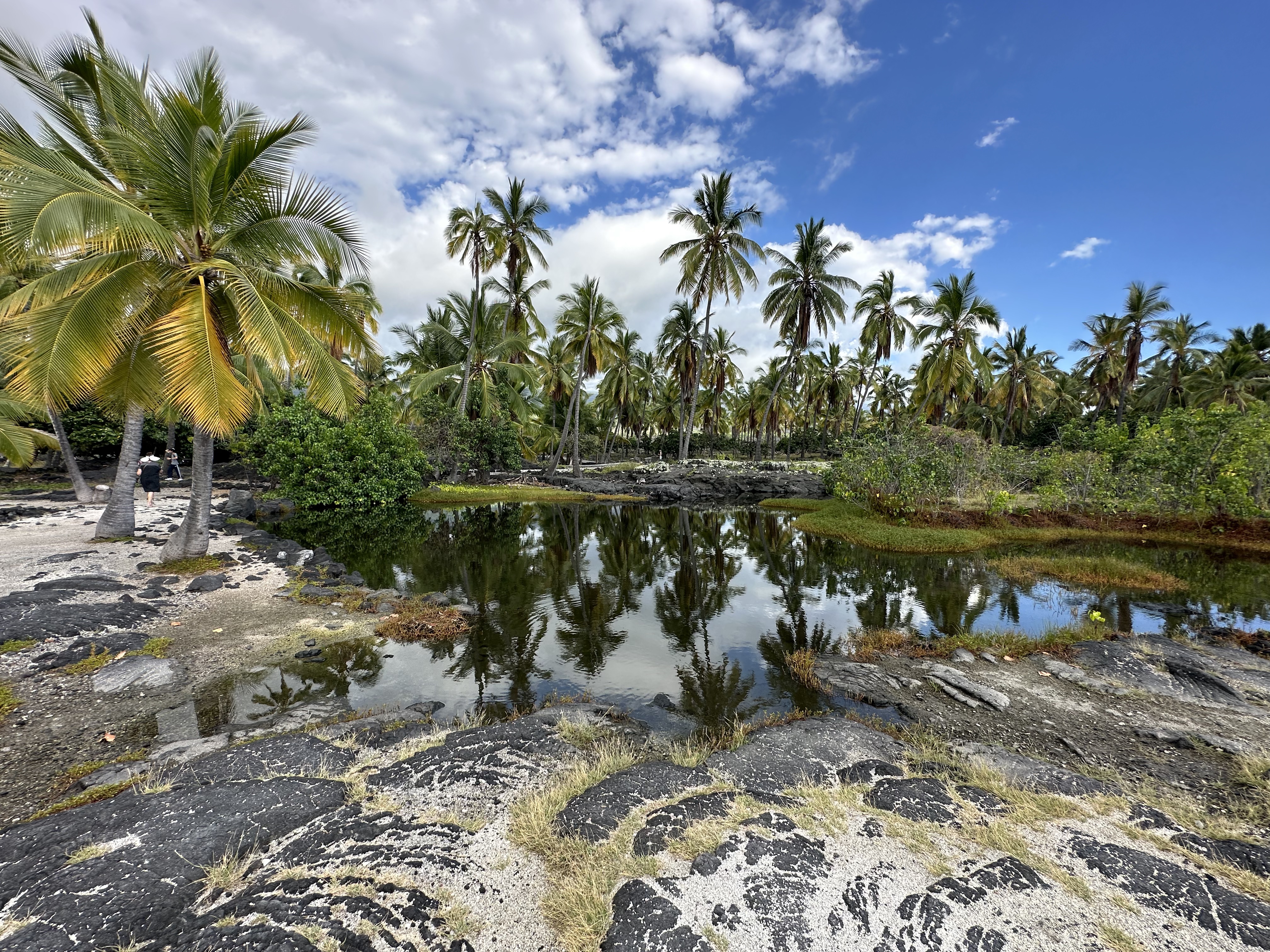 ɺ̲Ƶ- Courtyard Kona Beach Hotel