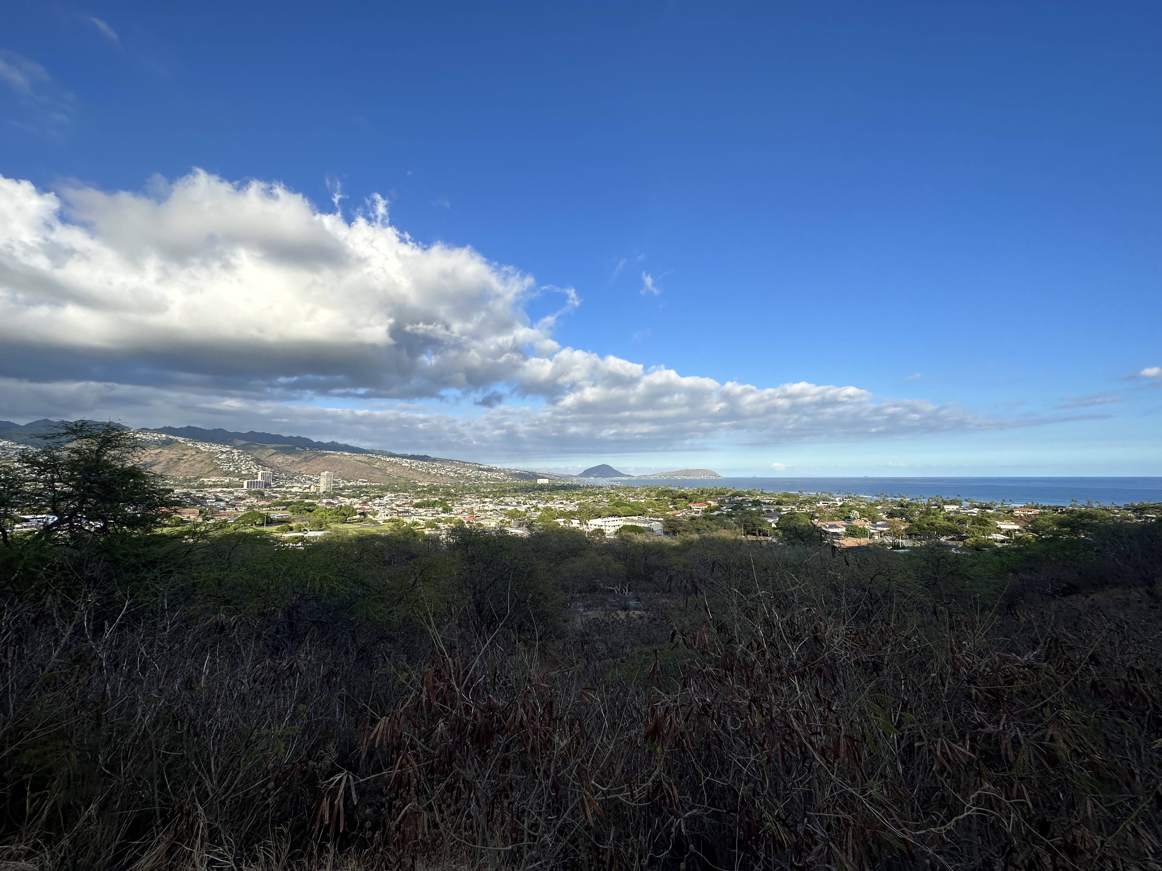 ̲˼ٹԢʽƵ-The Ritz-Carlton Residences, Waikiki Beach Hotel