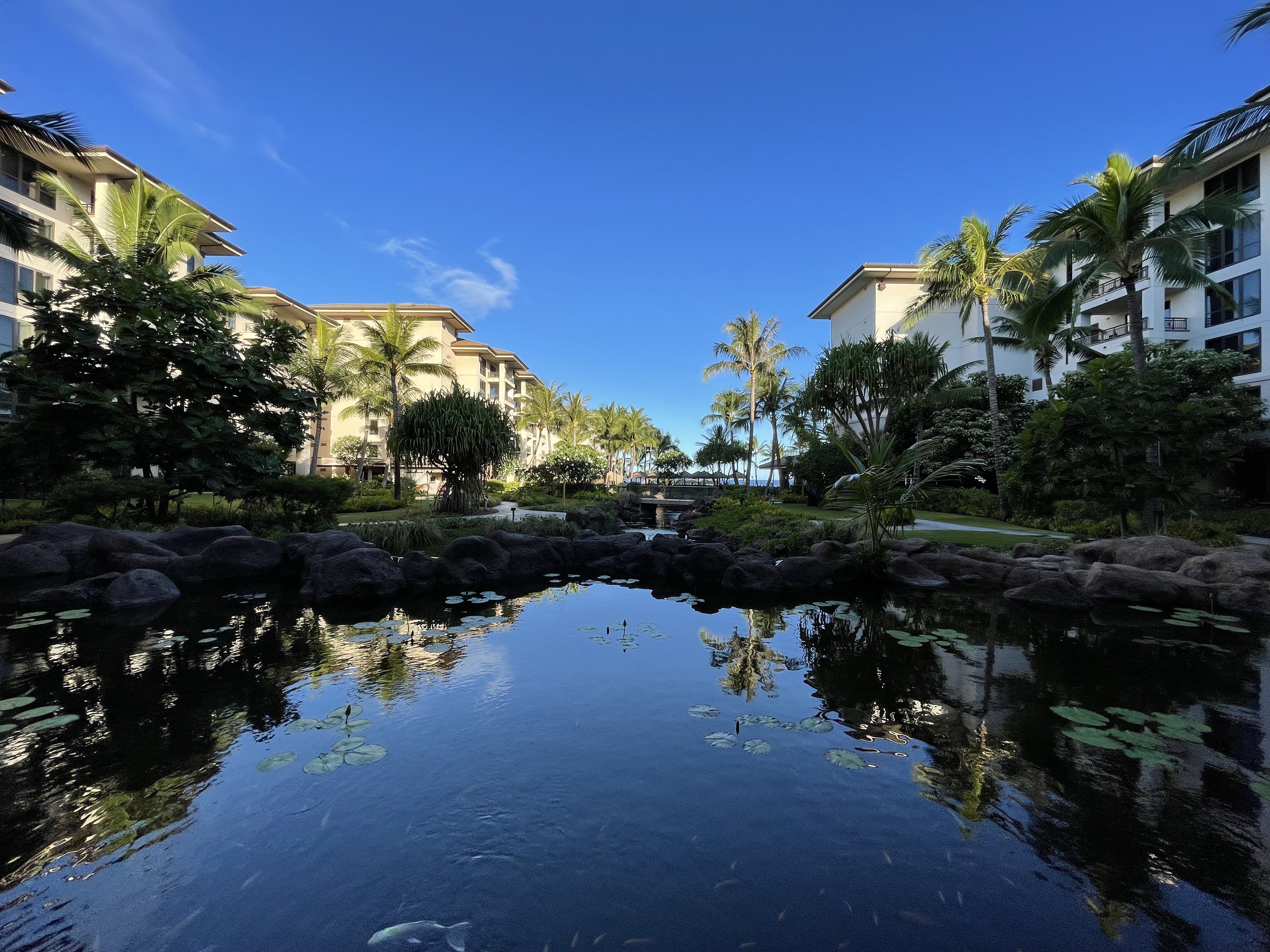 ˹͡Ǻ-The Westin Nanea Ocean Villas, Ka'anapali