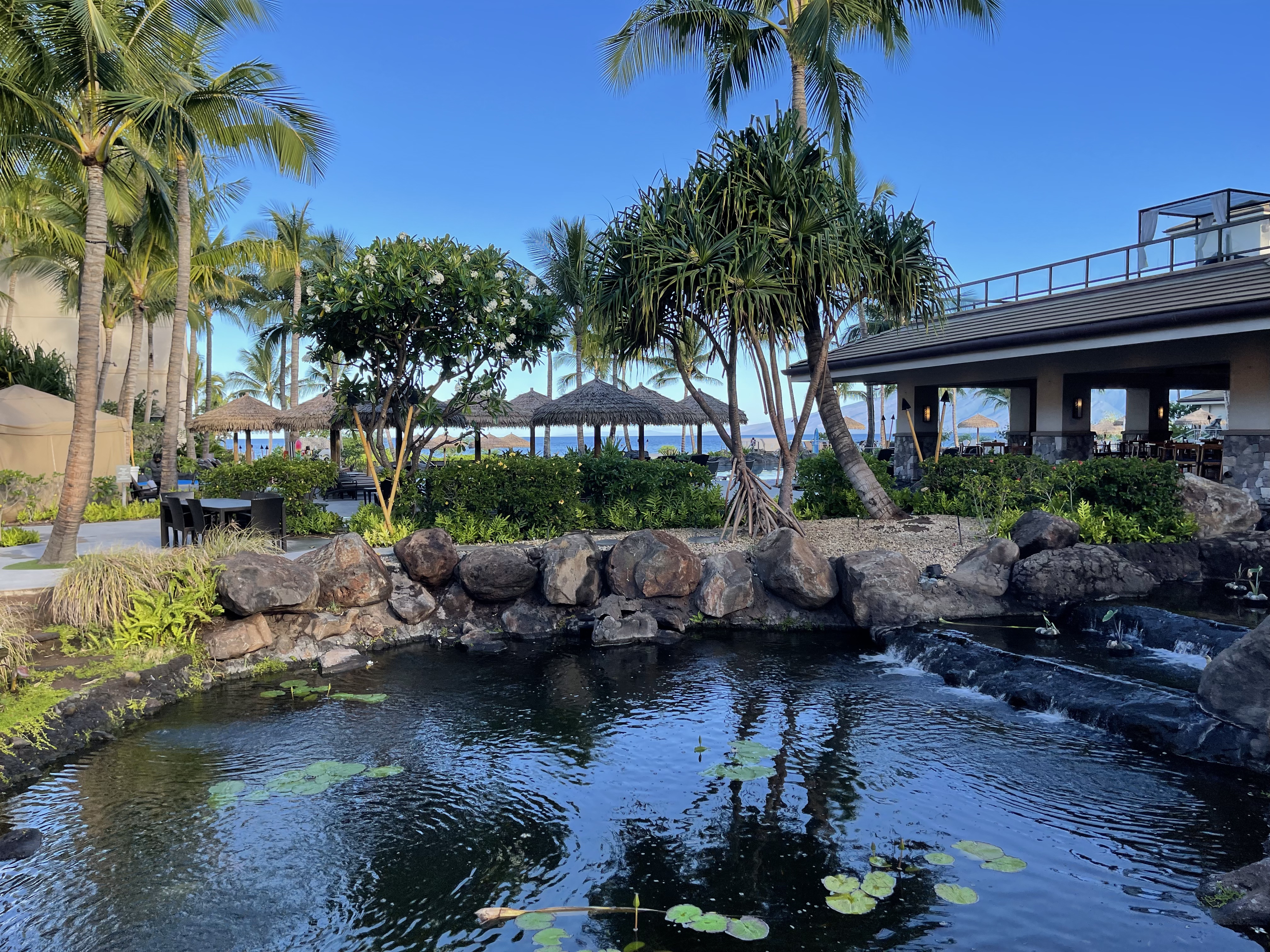 ˹͡Ǻ-The Westin Nanea Ocean Villas, Ka'anapali