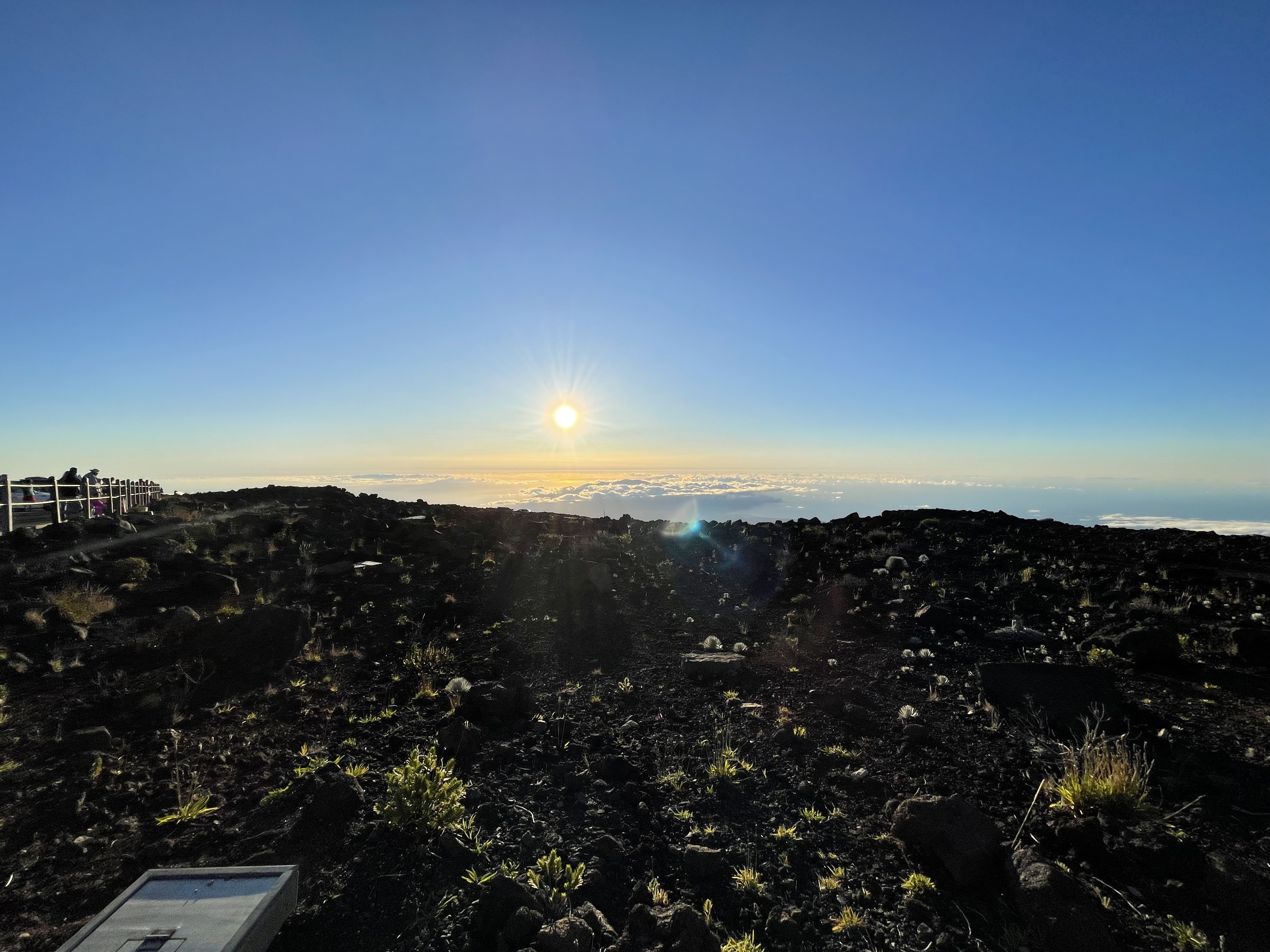 ˹͡Ǻ-The Westin Nanea Ocean Villas, Ka'anapali