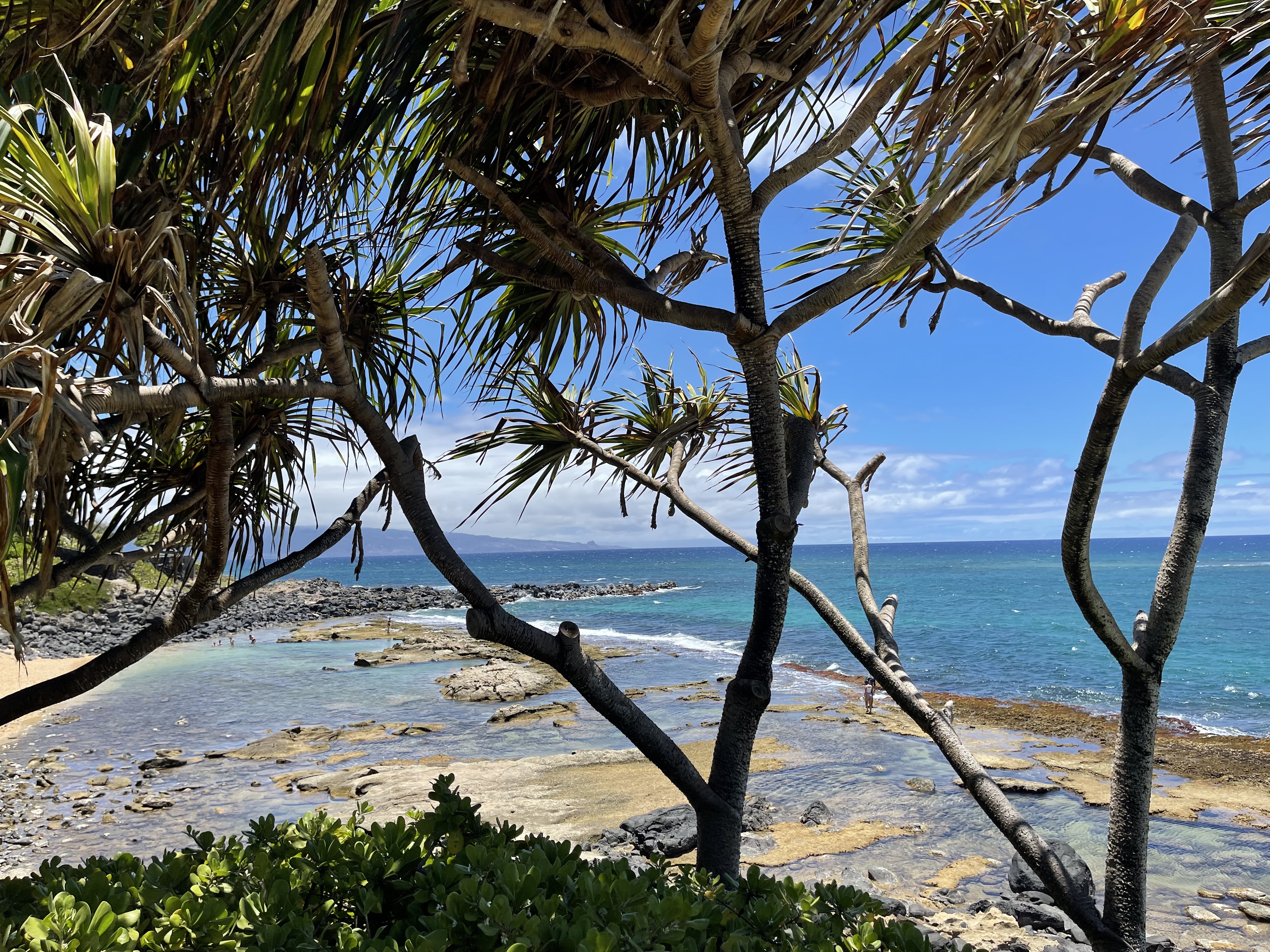 ˹͡Ǻ-The Westin Nanea Ocean Villas, Ka'anapali