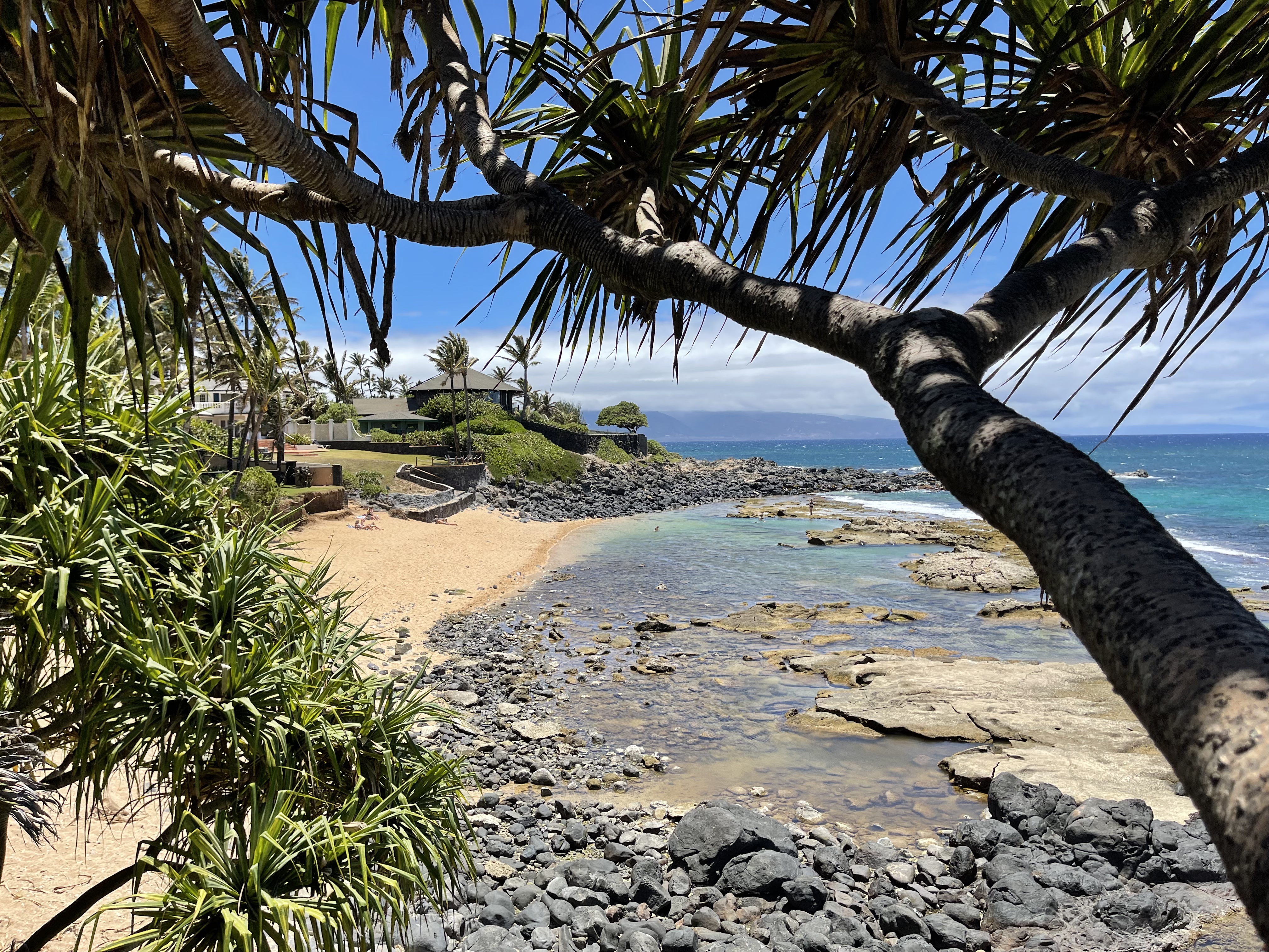 ˹͡Ǻ-The Westin Nanea Ocean Villas, Ka'anapali