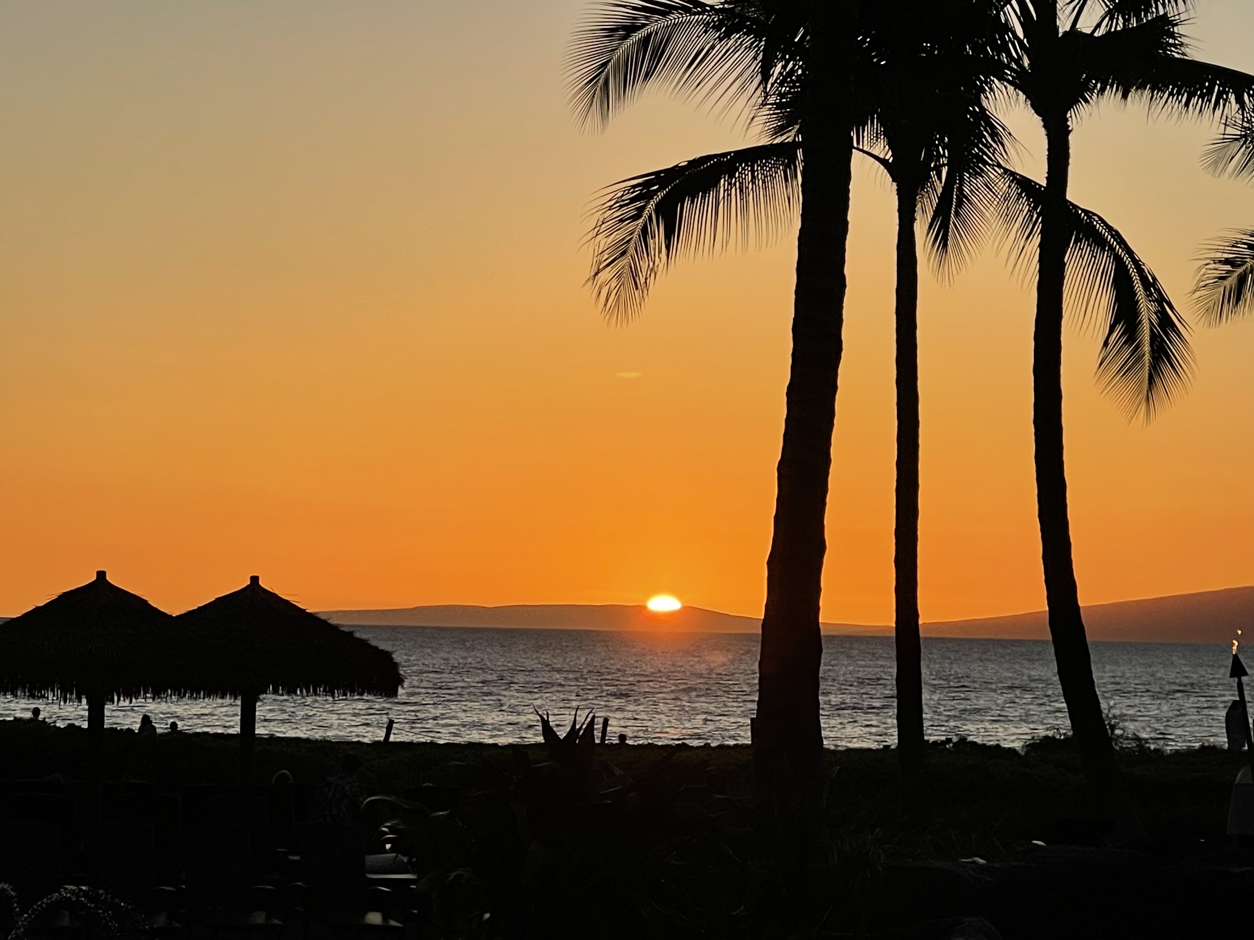 ˹͡Ǻ-The Westin Nanea Ocean Villas, Ka'anapali