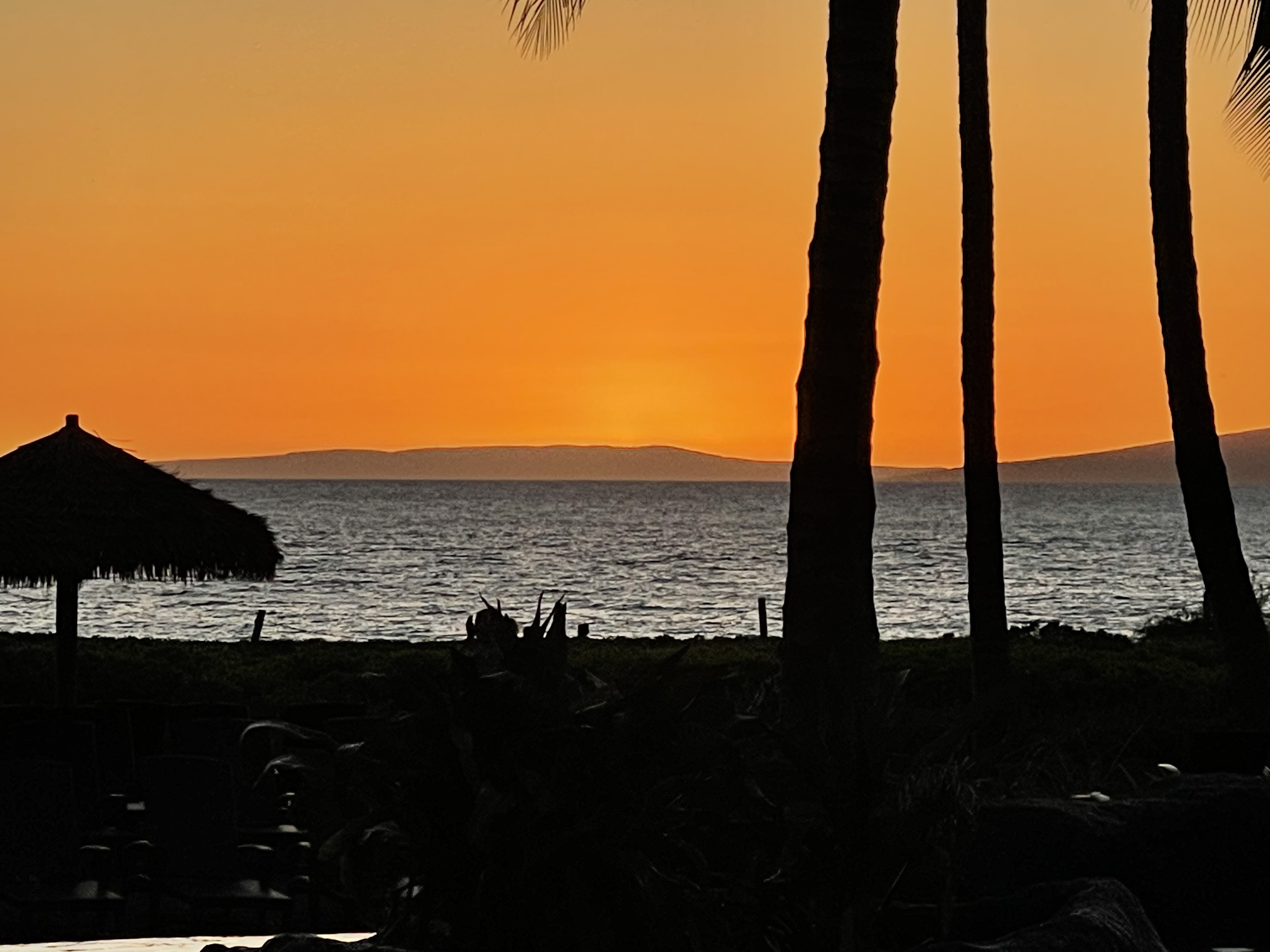 ˹͡Ǻ-The Westin Nanea Ocean Villas, Ka'anapali