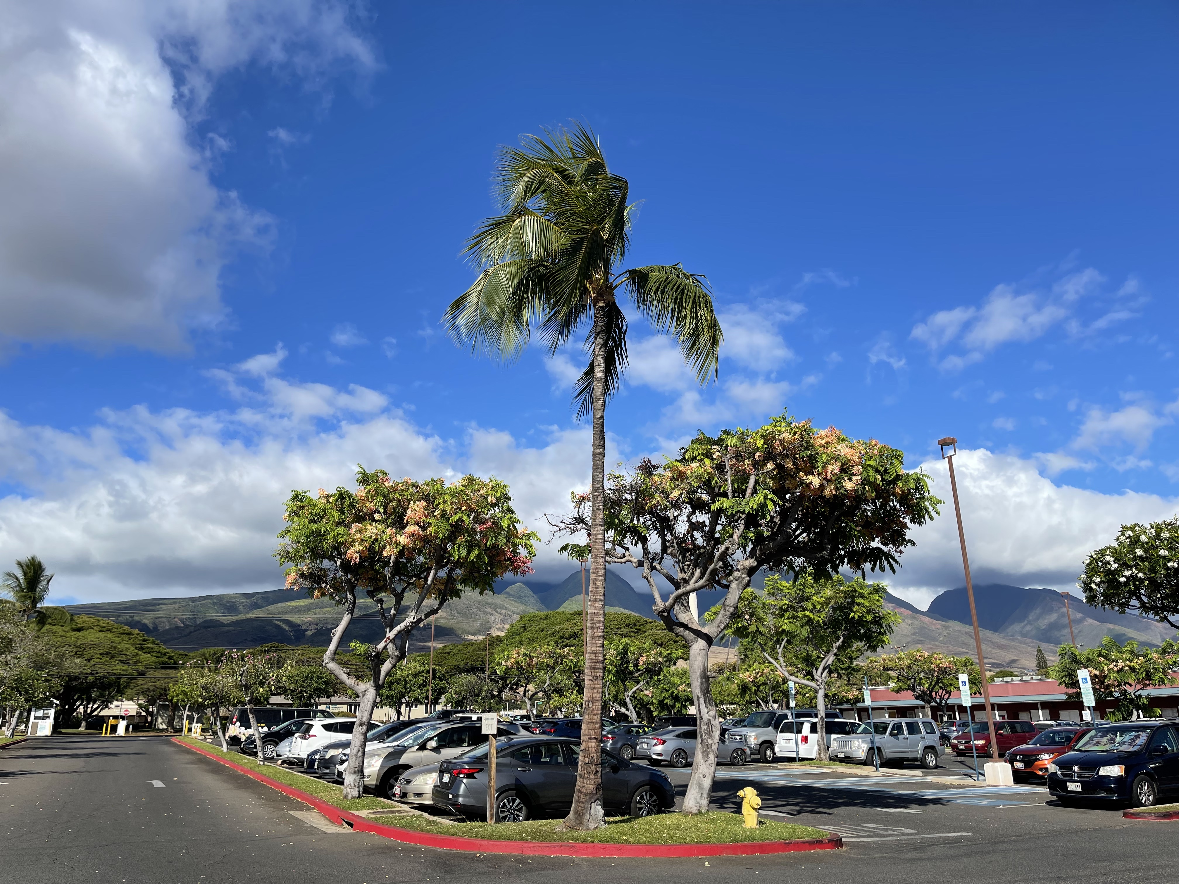 ˹͡Ǻ-The Westin Nanea Ocean Villas, Ka'anapali