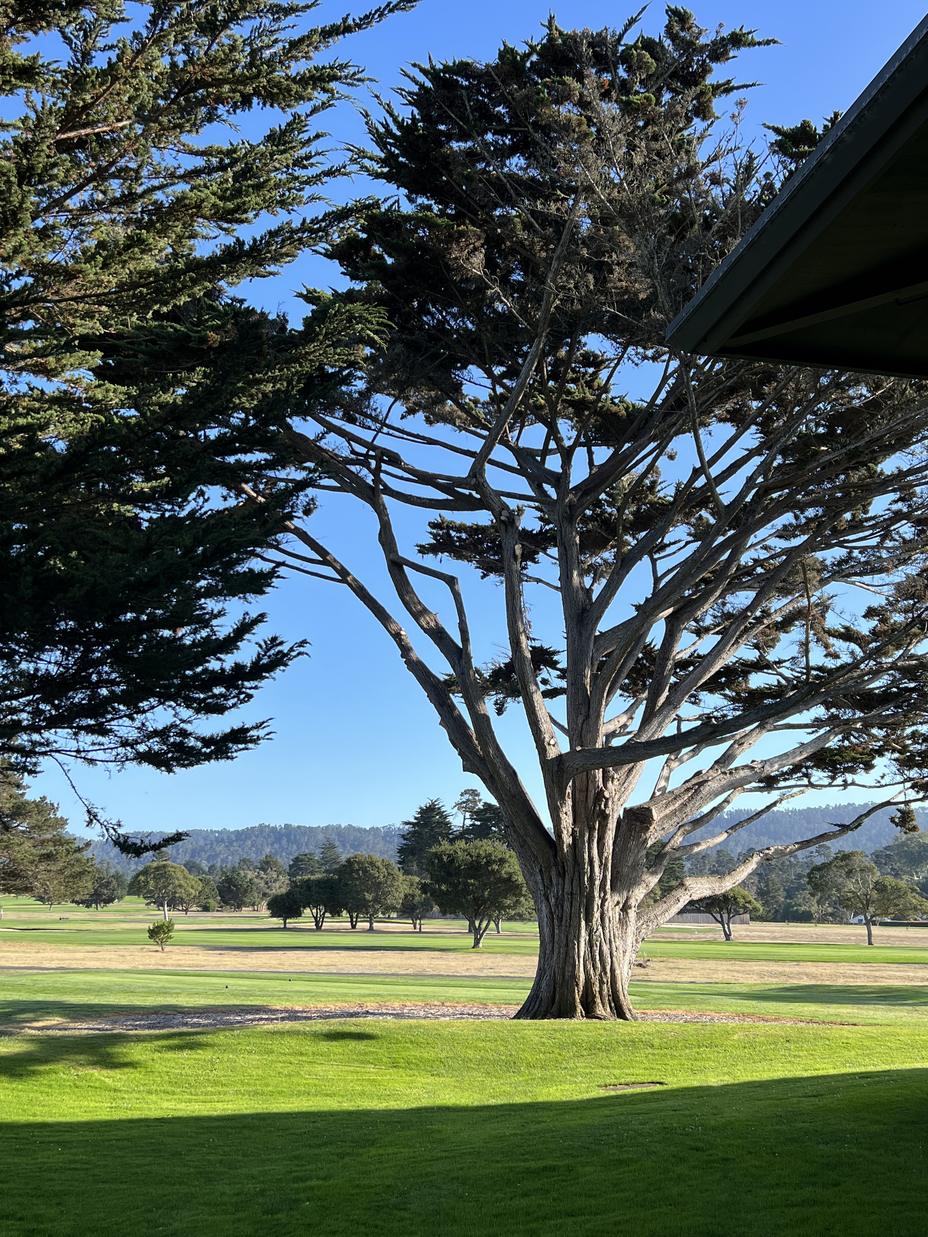 ׿ãHyatt Regency Monterey