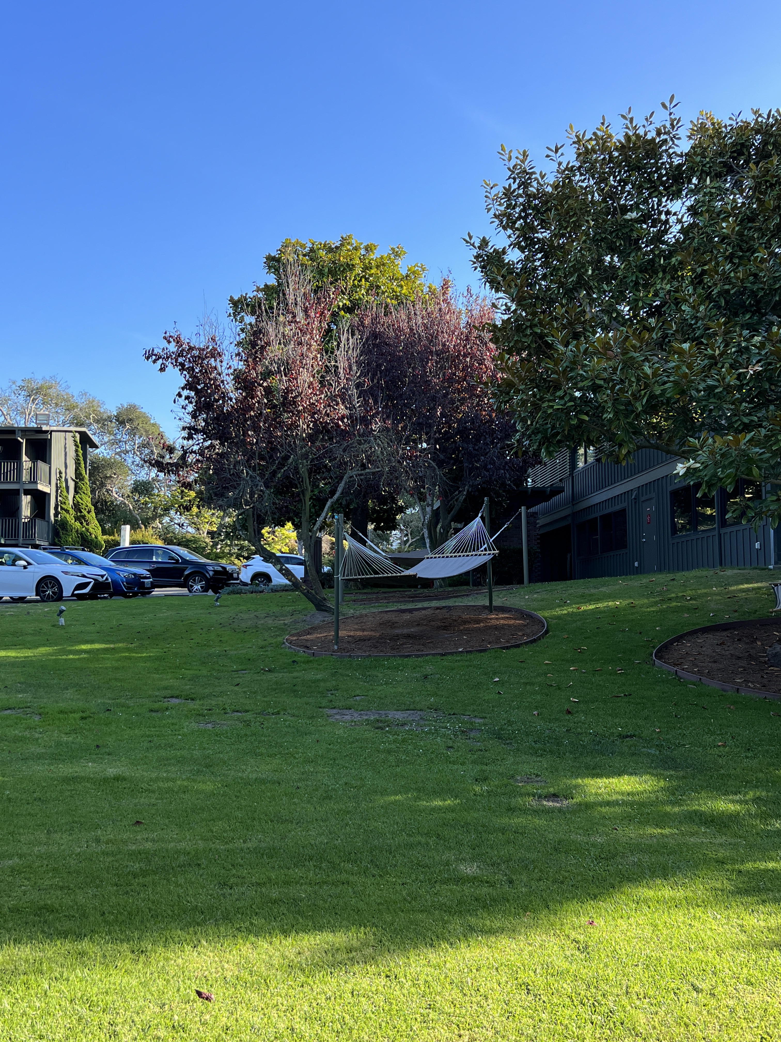 ׿ãHyatt Regency Monterey