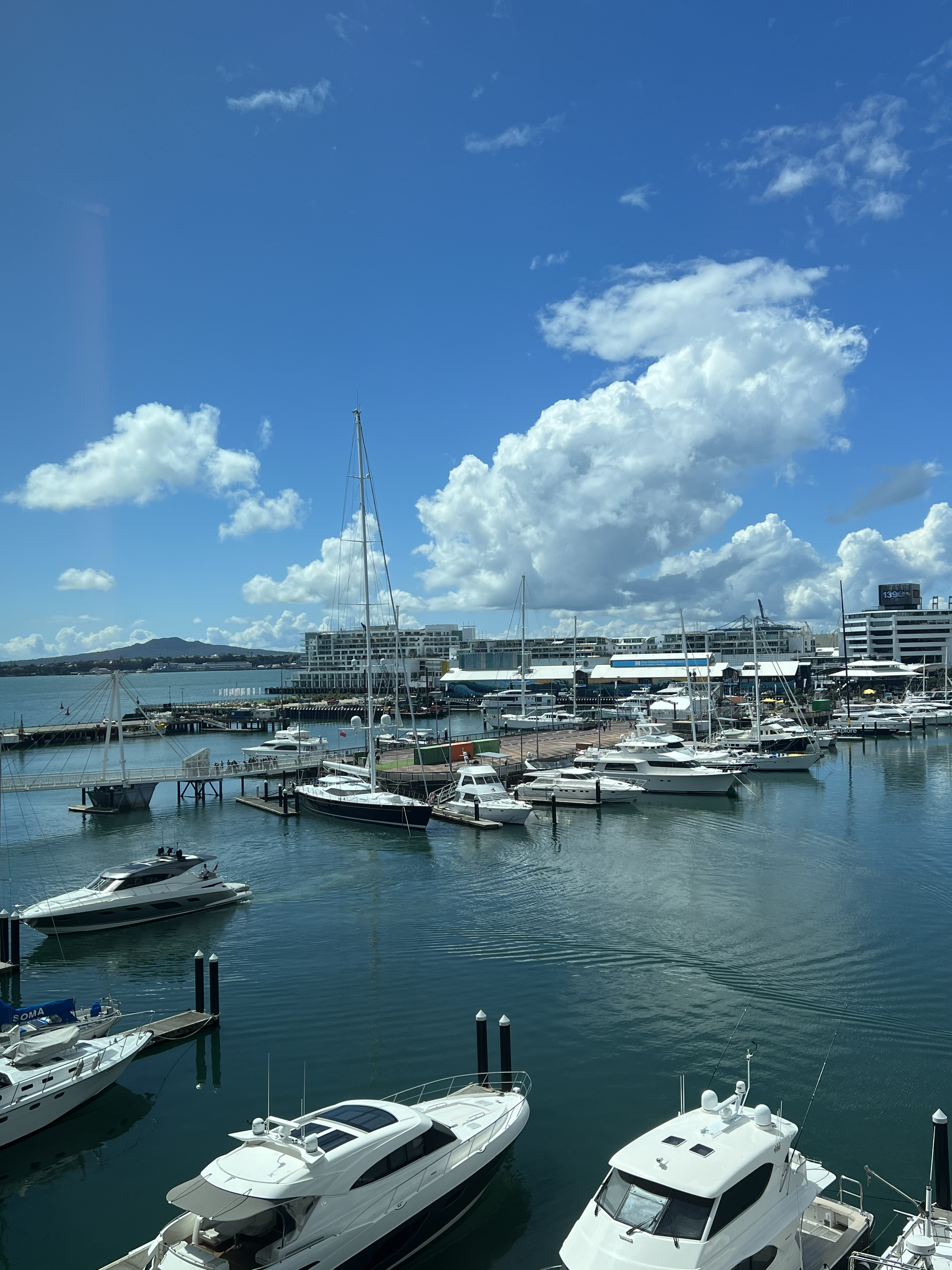 Staycation in AKL| ¿þƵPark Hyatt Auckland