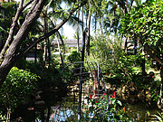 Խ<em></em>ǼȼٴLotus Villages ResortСľƵ