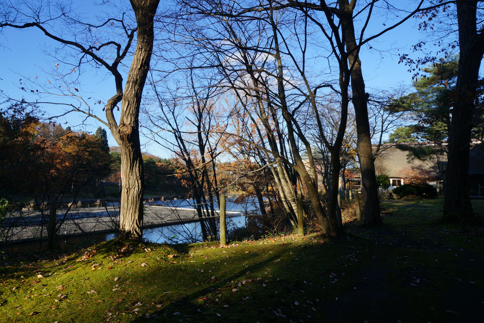 ҰɭݾƵһ A glance at the Aomoriya hotel