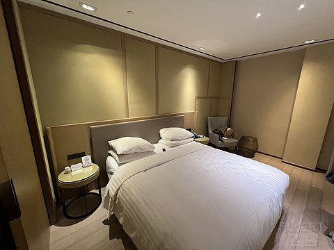 上海迪士尼性价比之选—上海国际旅游度假区万怡酒店