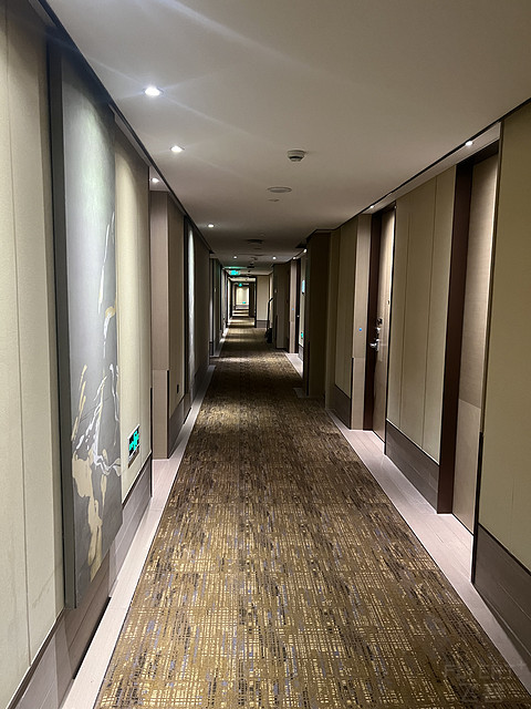 上海迪士尼性价比之选—上海国际旅游度假区万怡酒店