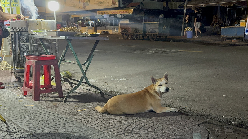 161806CVDIXYJXQKWVDYSJ.png 161806CVDIXYJXQKWVDYSJ.png