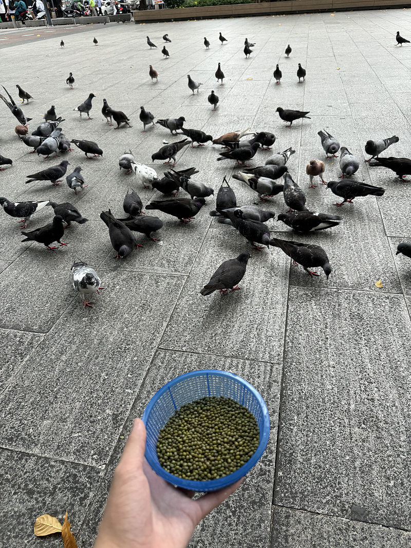 161807ADUPYQFLLADWPHEV.png 161807ADUPYQFLLADWPHEV.png