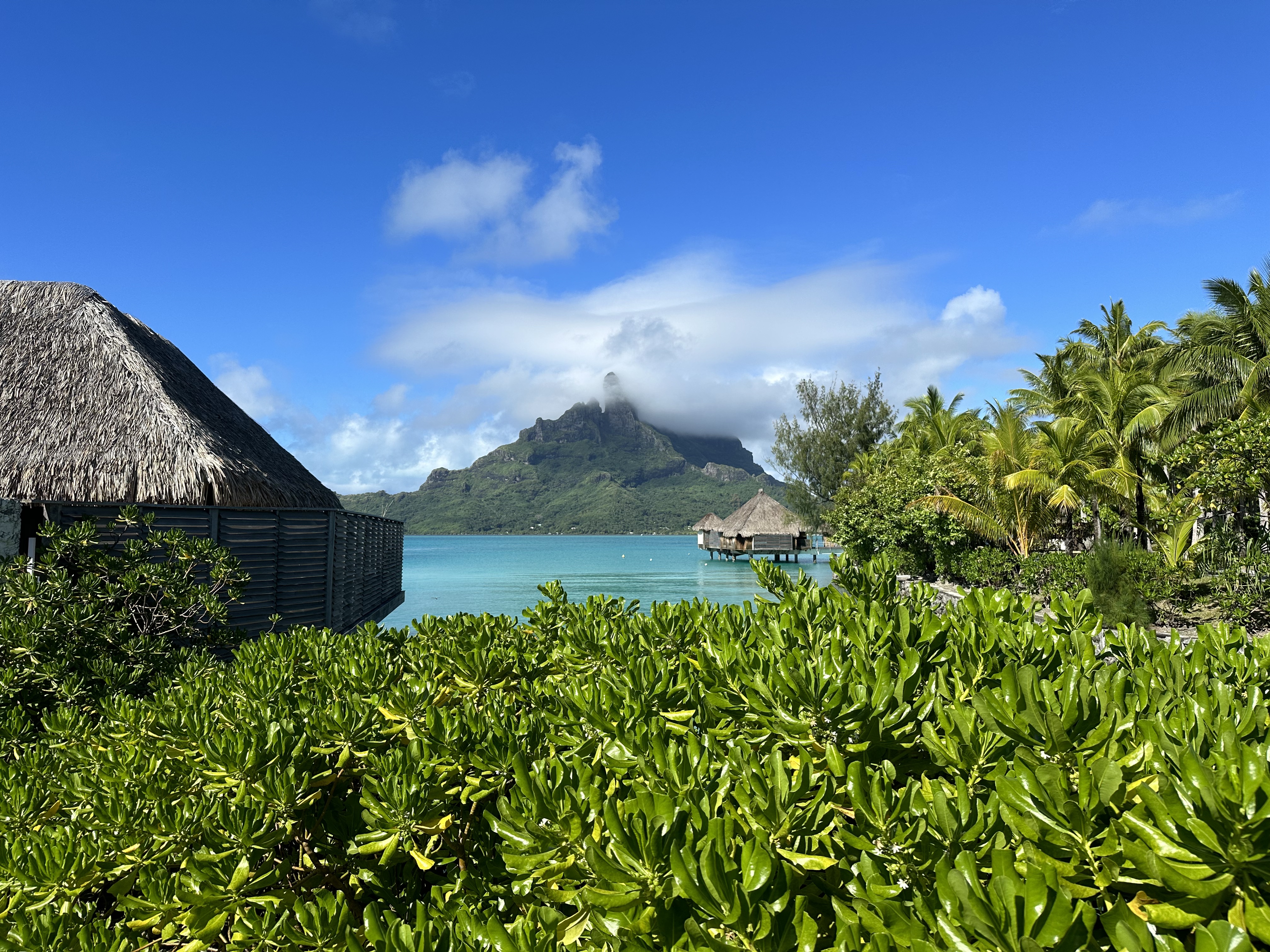 bora bora st regis 5