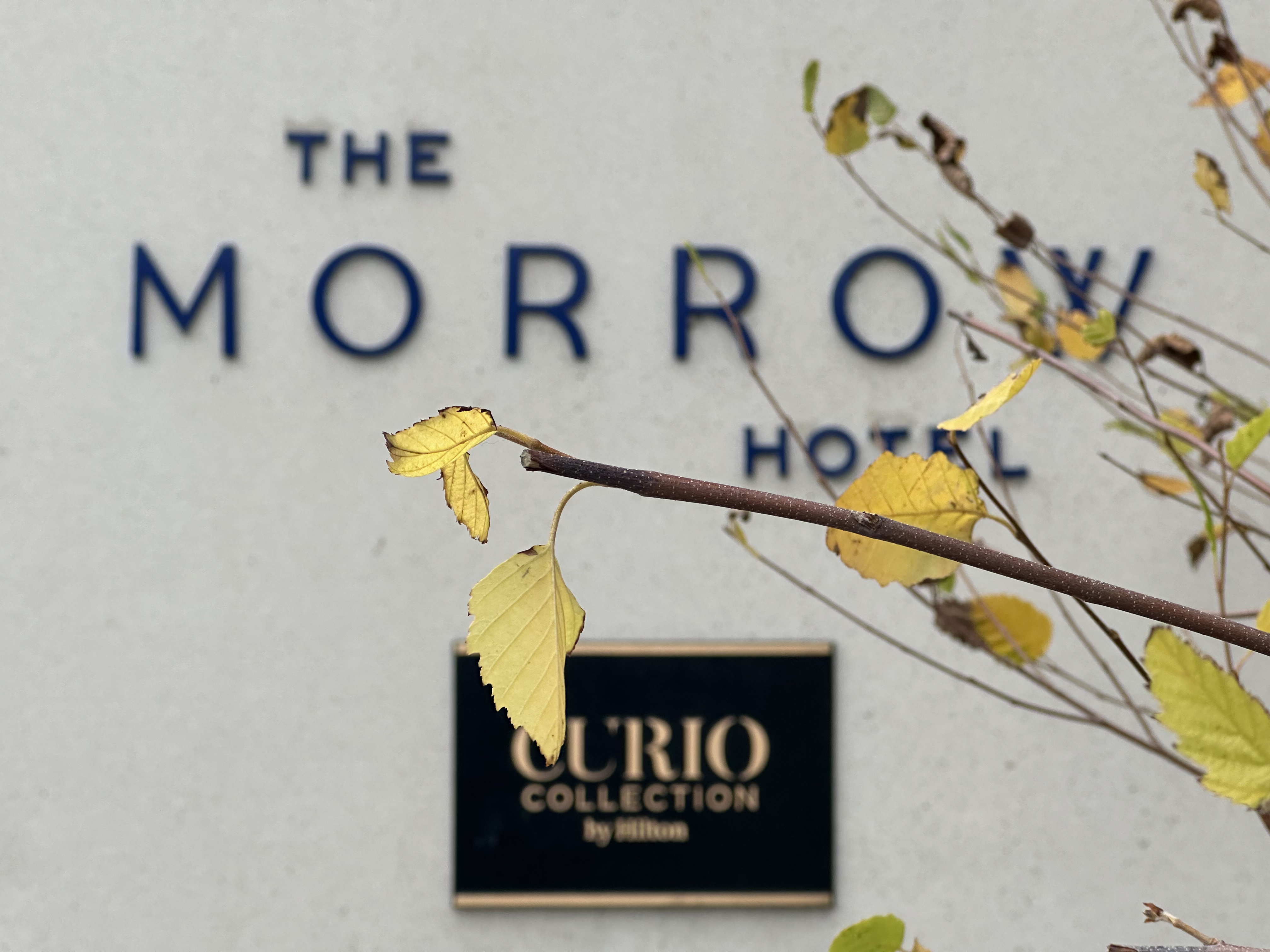 ║ʢThe Morrow Hotel, ϣٸǾѡ