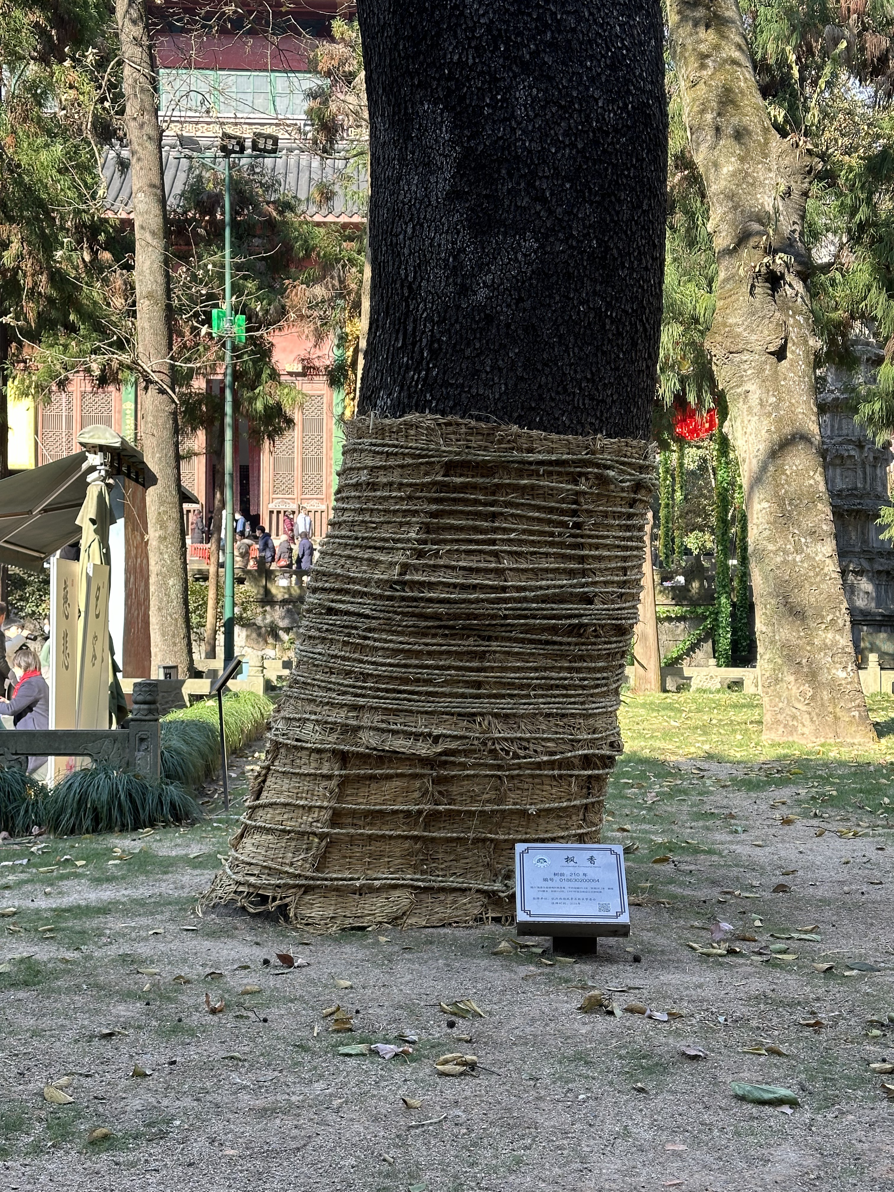 Ƶ-Courtyard Hangzhou Wulin