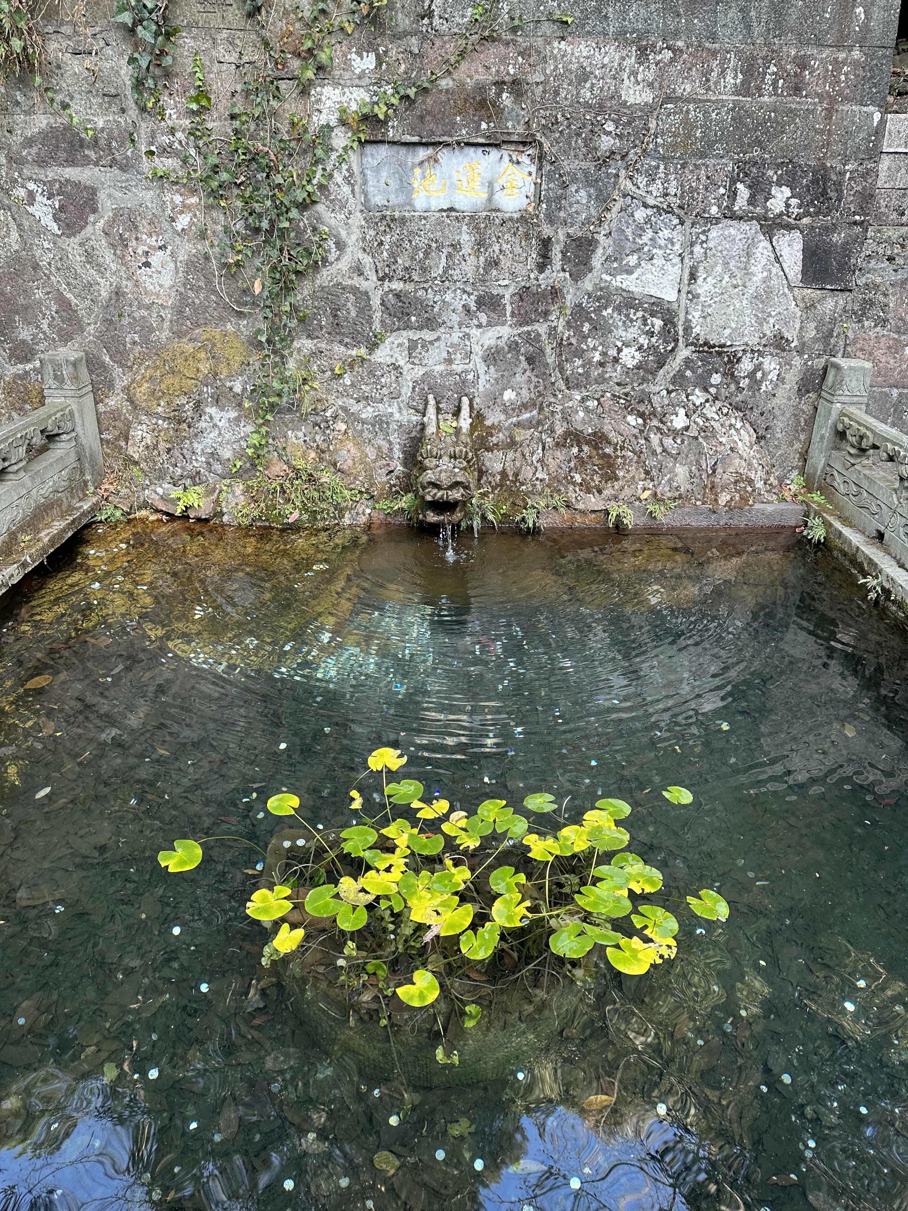 Ƶ-Courtyard Hangzhou Wulin