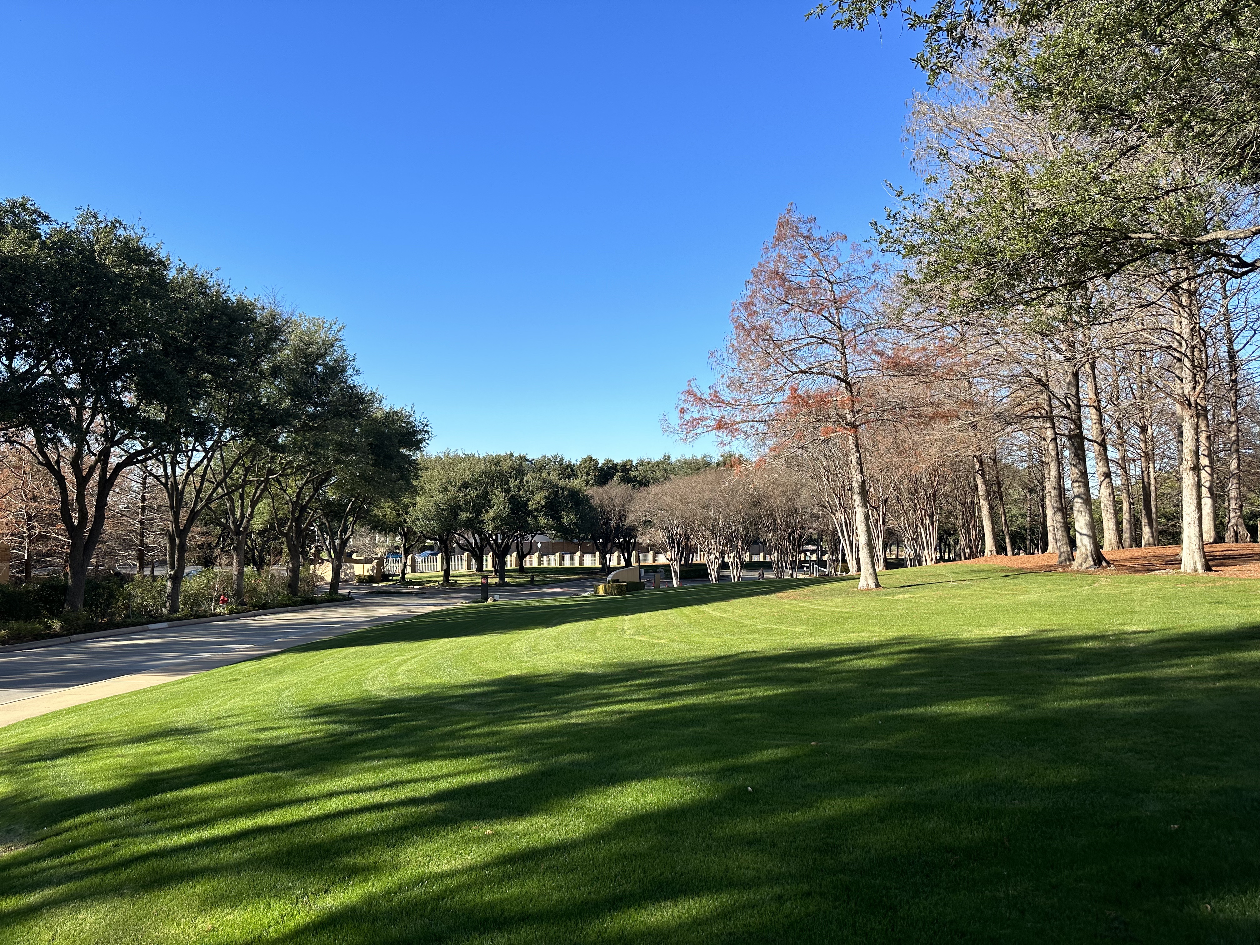 ʨ║˹The Las Colinas Resort, ˼