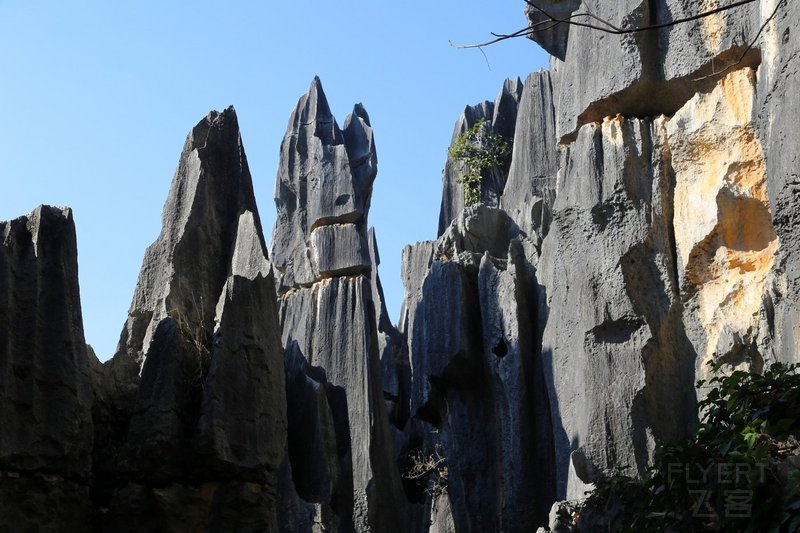 Kunming--Stone Forest (29).JPG