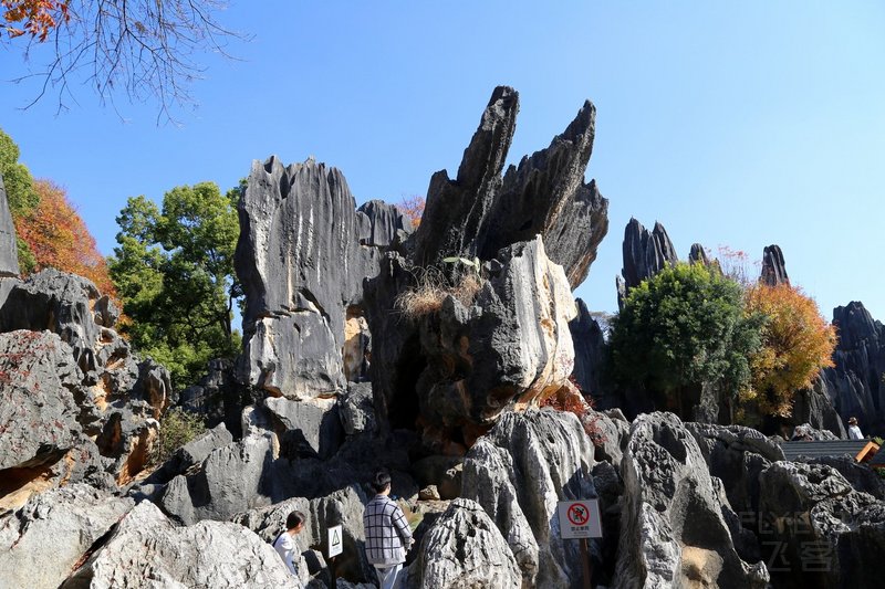 Kunming--Stone Forest (11).JPG