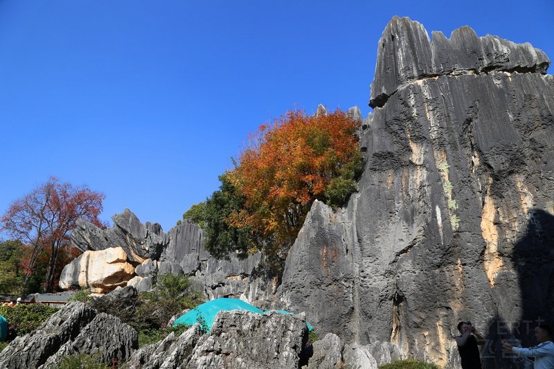 Kunming--Stone Forest (17).JPG