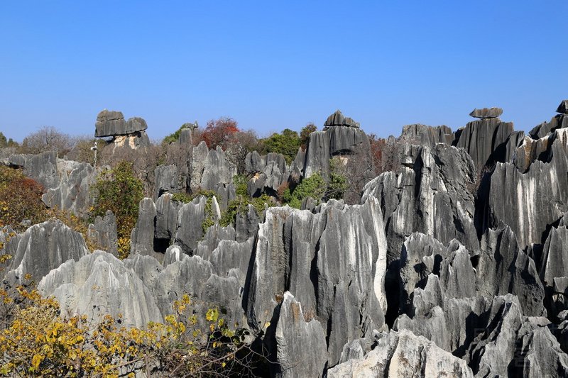 Kunming--Stone Forest (24).JPG