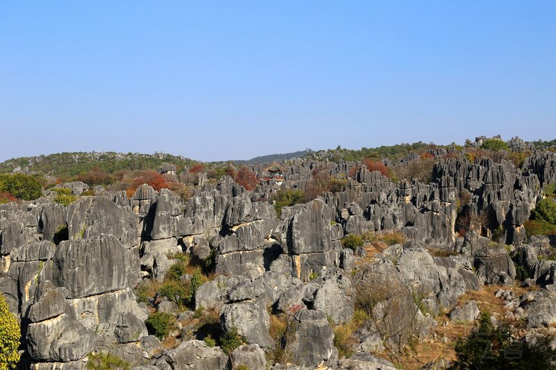 Kunming--Stone Forest (32).JPG