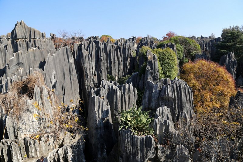 Kunming--Stone Forest (27).JPG