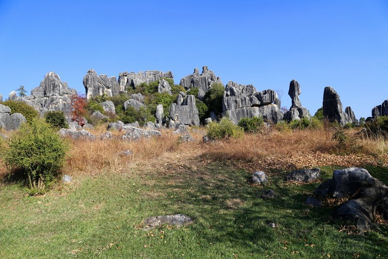 Kunming--Stone Forest (34).JPG