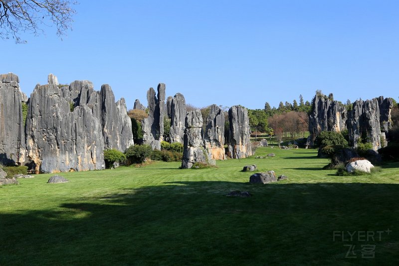 Kunming--Stone Forest (38).JPG