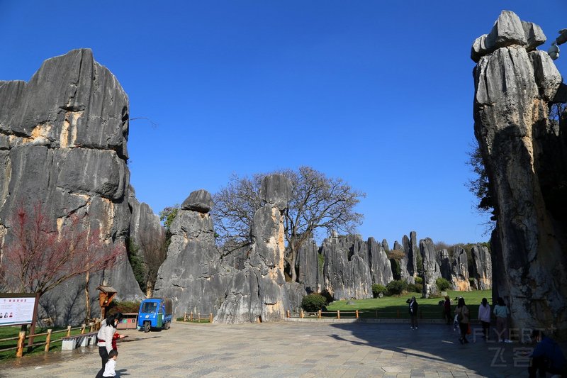 Kunming--Stone Forest (37).JPG