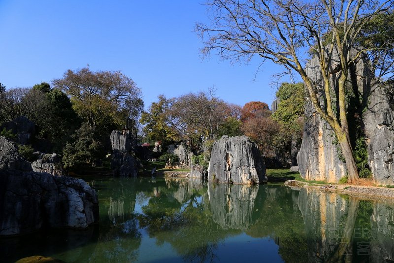 Kunming--Stone Forest (43).JPG