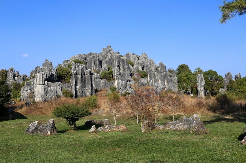 Kunming--Stone Forest (60).JPG