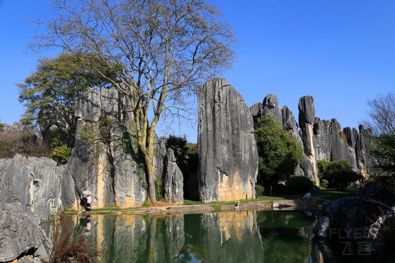 Kunming--Stone Forest (46).JPG