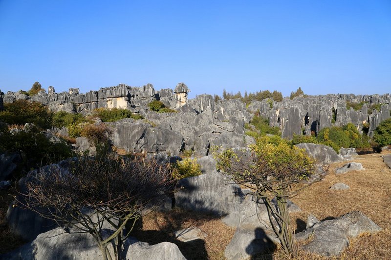 Kunming--Stone Forest (77).JPG