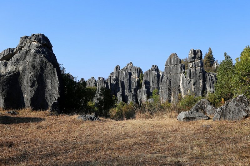Kunming--Stone Forest (64).JPG