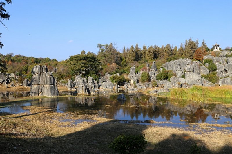 Kunming--Stone Forest (89).JPG