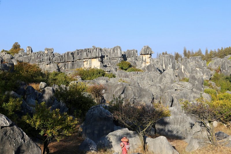 Kunming--Stone Forest (76).JPG