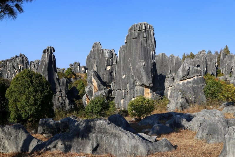 Kunming--Stone Forest (69).JPG