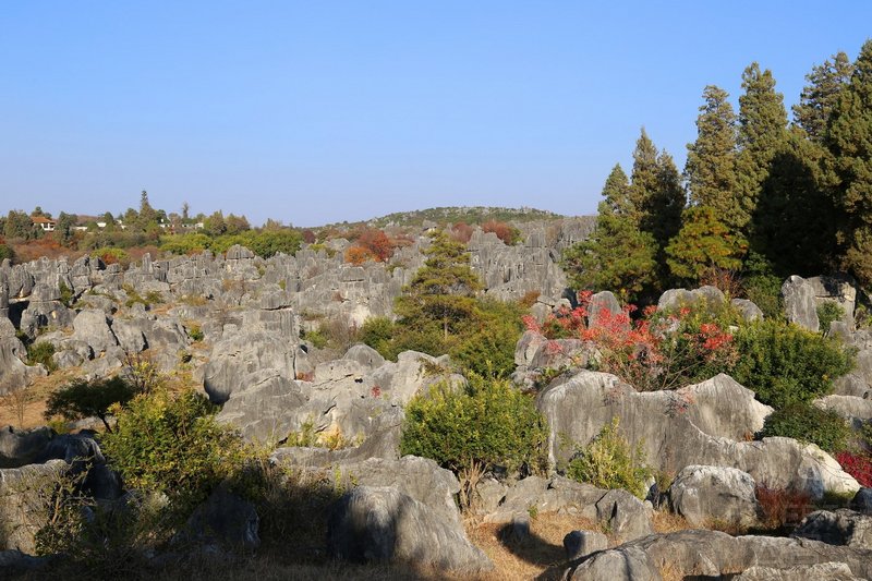 Kunming--Stone Forest (81).JPG