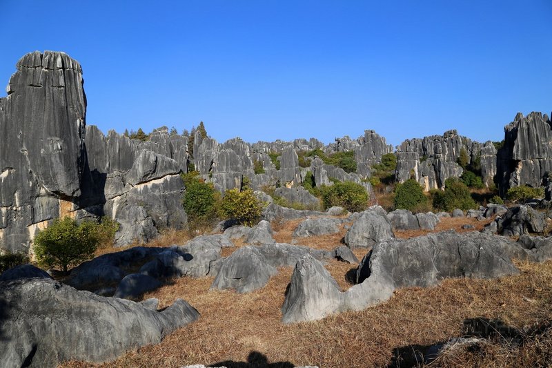 Kunming--Stone Forest (70).JPG