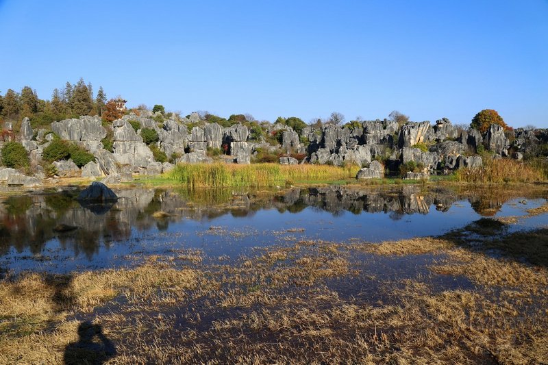 Kunming--Stone Forest (91).JPG